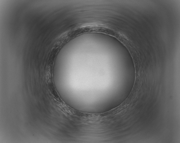 X0000081421062200701120938