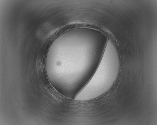 X0000081421064200701120938