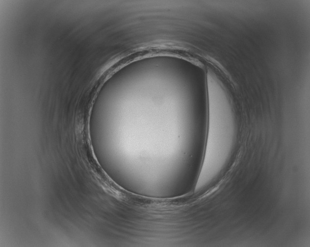 X0000081421065200701120938