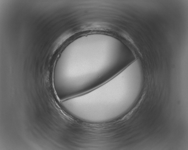 X0000081421066200701120938