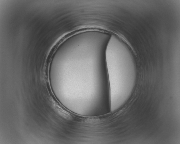 X0000081421068200701120938