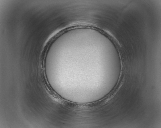 X0000081421070200701120938