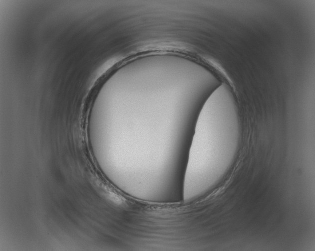 X0000081421071200701120938