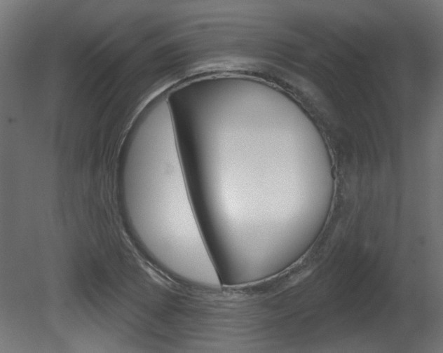 X0000081421073200701120938