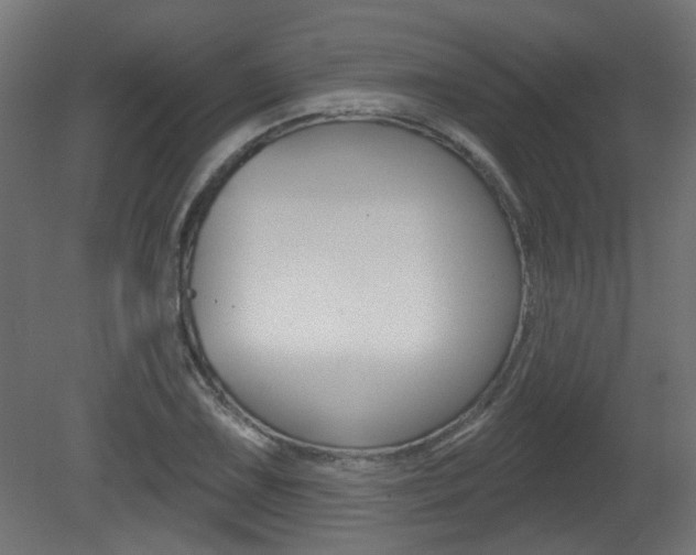 X0000081421075200701120938