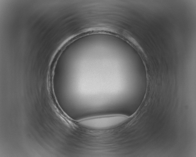 X0000081421076200701120938