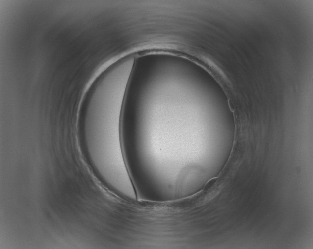 X0000081421077200701120938