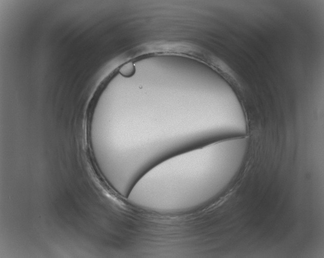 X0000081421079200701120938