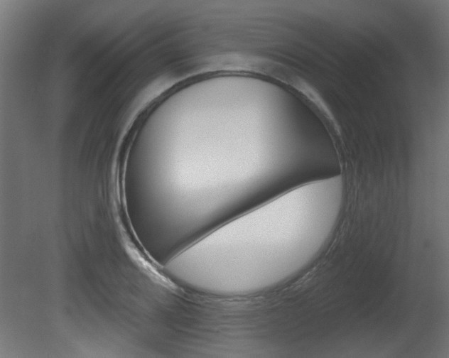 X0000081421080200701120938