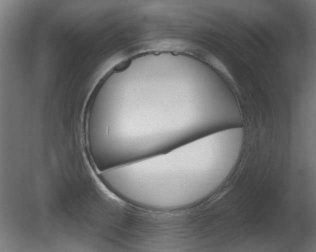 X0000081421087200701120938