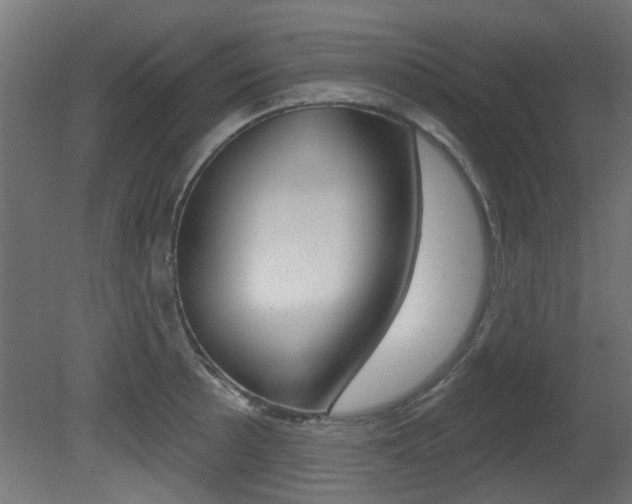X0000081421089200701120938