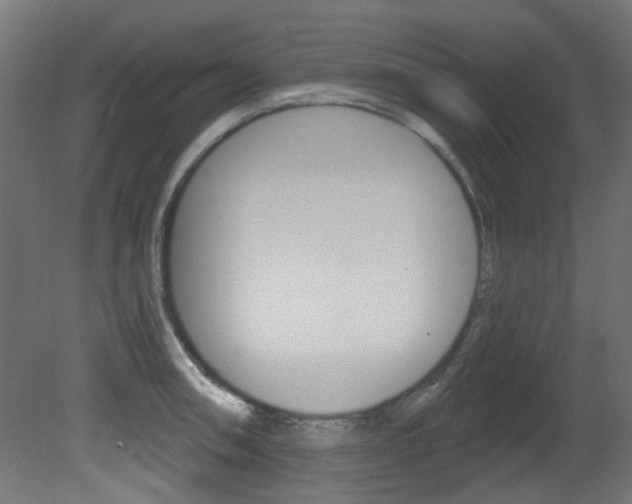 X0000081421090200701120938