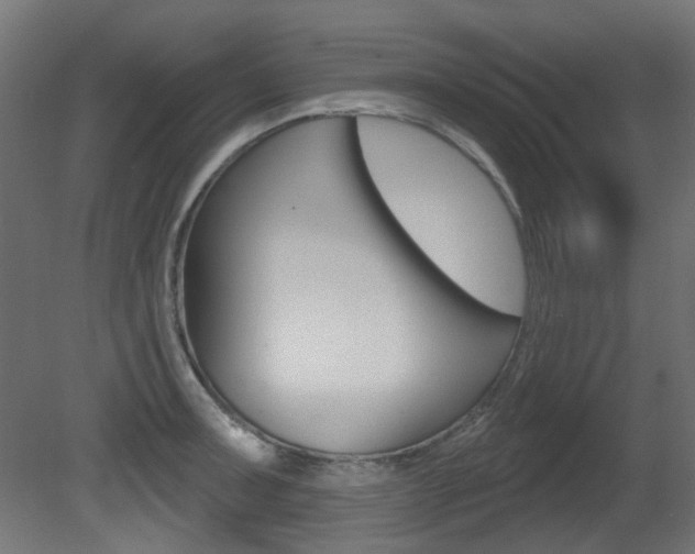 X0000081421091200701120938