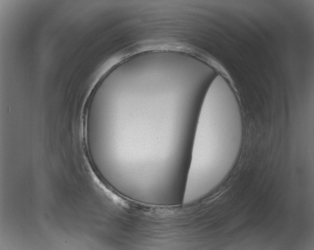 X0000081421095200701120938