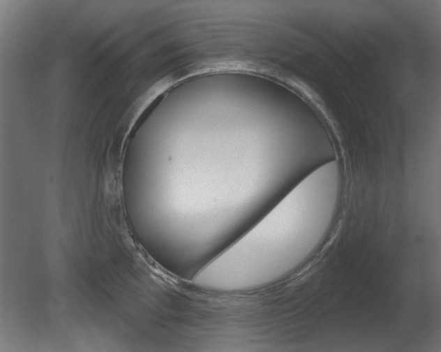 X0000081421097200701120938