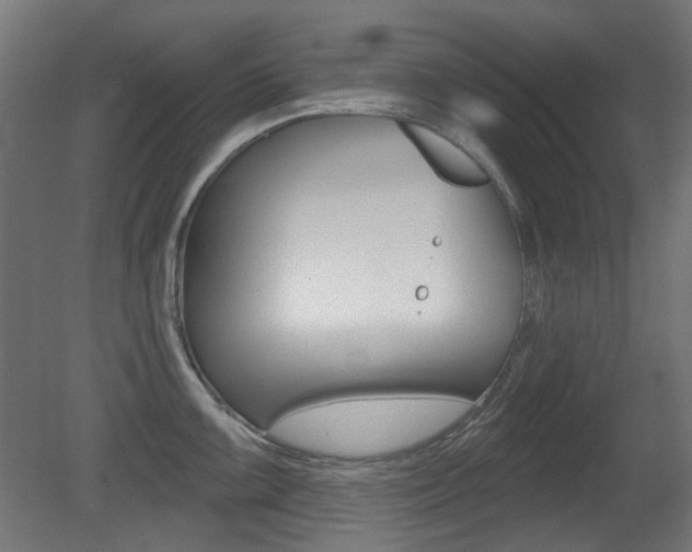 X0000081421099200701120938