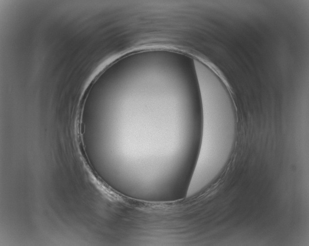 X0000081421101200701120938