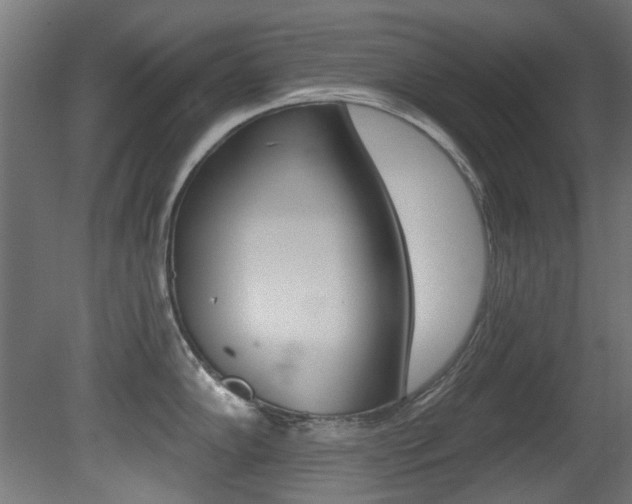 X0000081421102200701120938