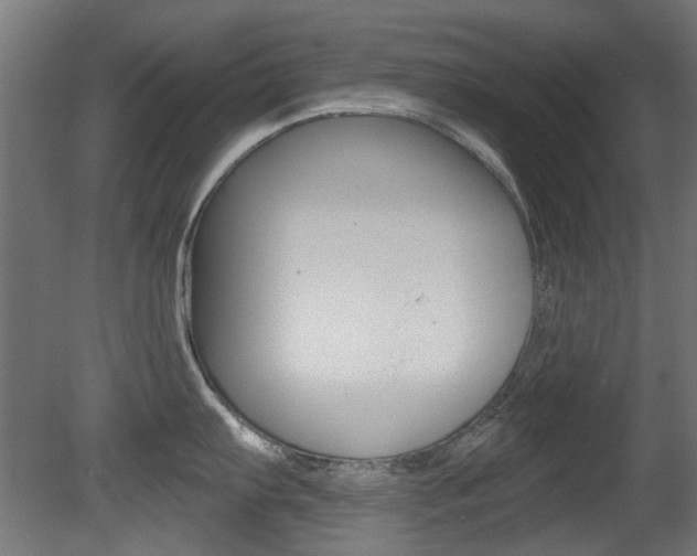 X0000081421103200701120938