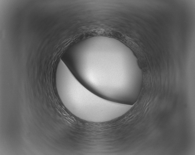 X0000081421105200701120937