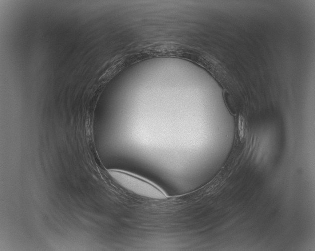X0000081421107200701120937