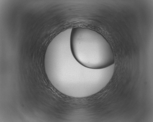 X0000081421109200701120937