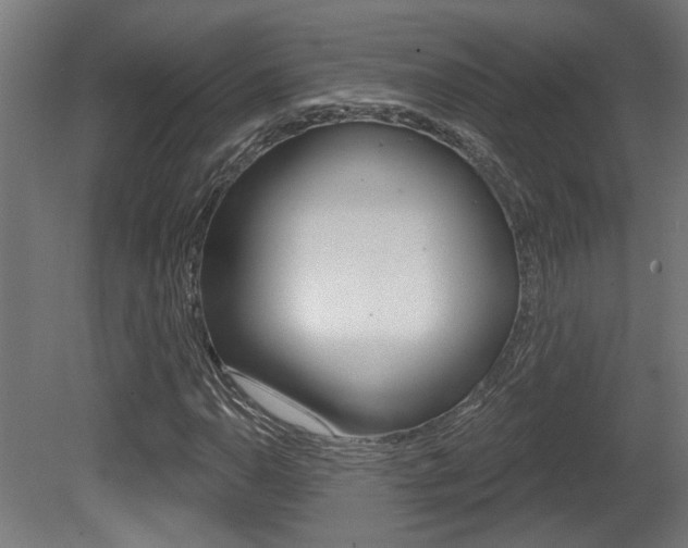 X0000081421110200701120937