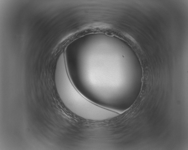 X0000081421112200701120937