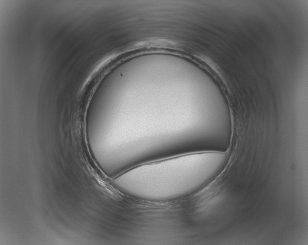X0000081421115200701120937