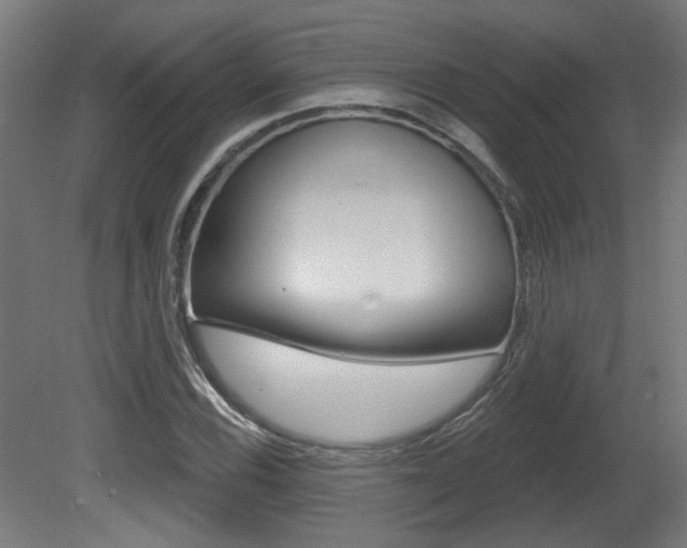 X0000081421116200701120937