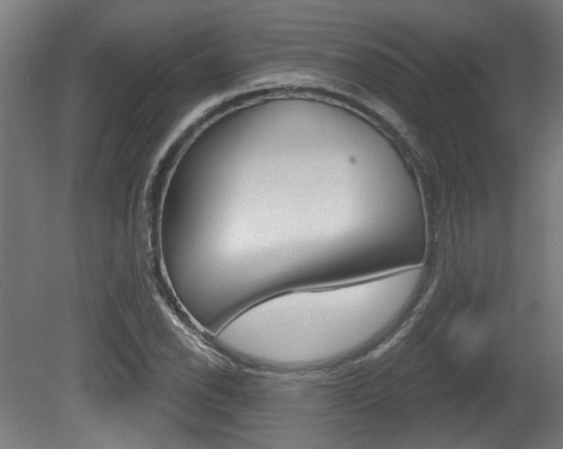 X0000081421118200701120937