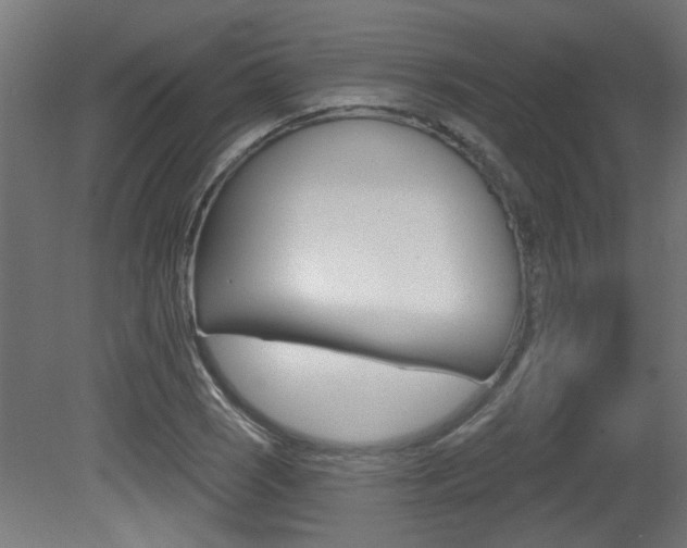 X0000081421121200701120937