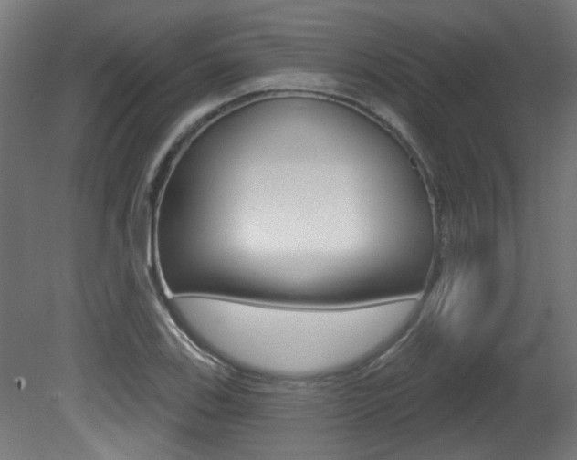 X0000081421123200701120937