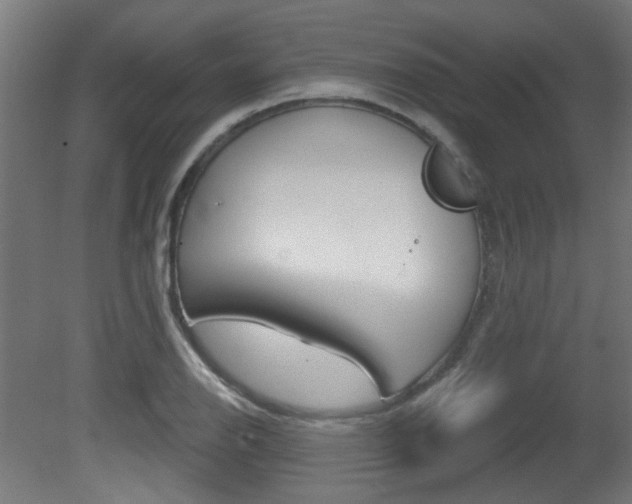 X0000081421126200701120937