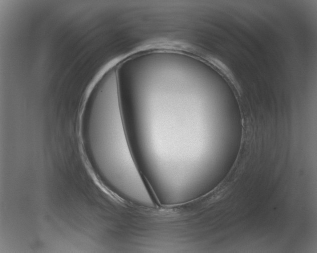 X0000081421128200701120937