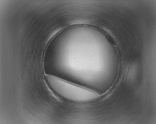 X0000081421129200701120937