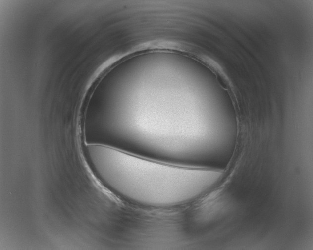X0000081421133200701120937