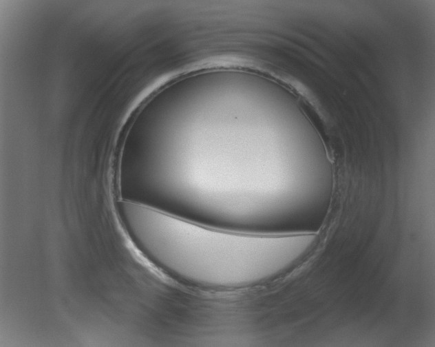 X0000081421134200701120937