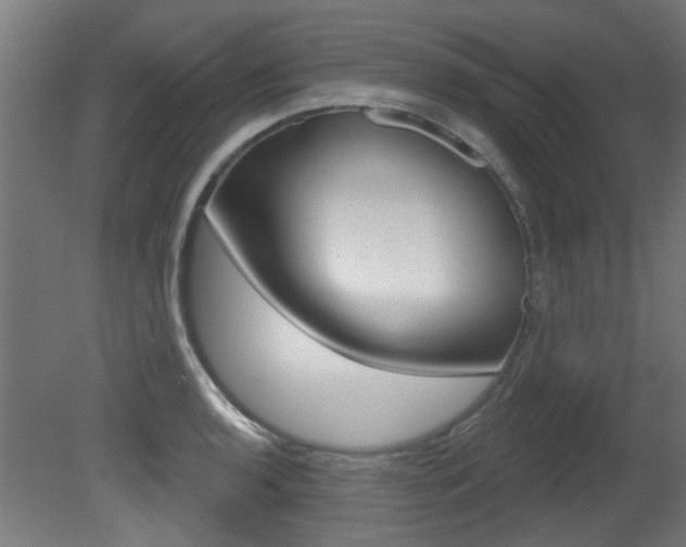 X0000081421136200701120937
