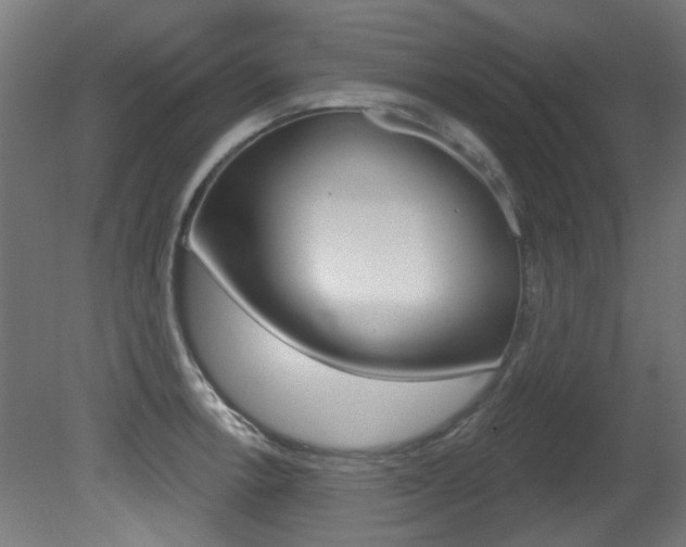X0000081421138200701120937