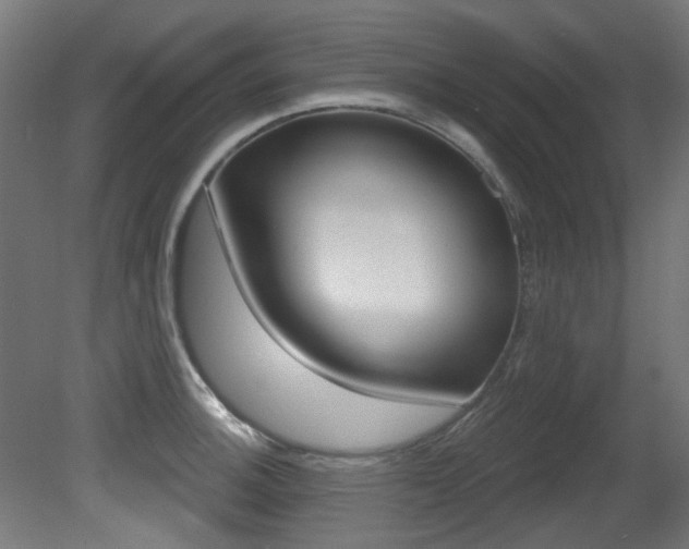 X0000081421140200701120937