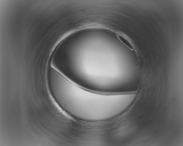 X0000081421142200701120937