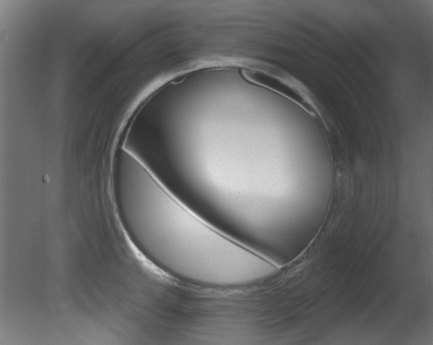 X0000081421143200701120937