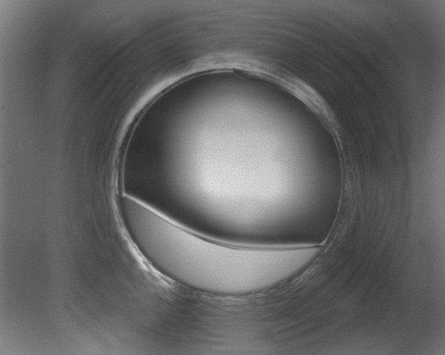 X0000081421144200701120937