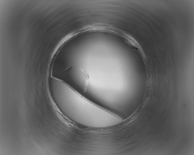 X0000081421146200701120937