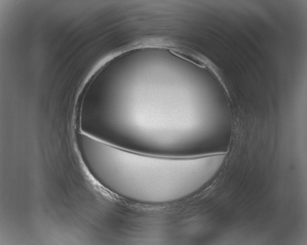 X0000081421147200701120937