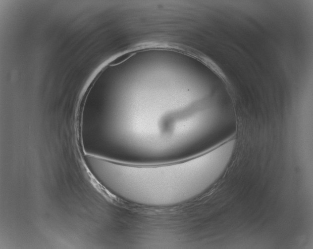 X0000081421148200701120937