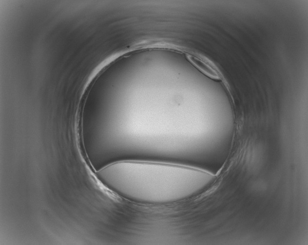 X0000081421149200701120938