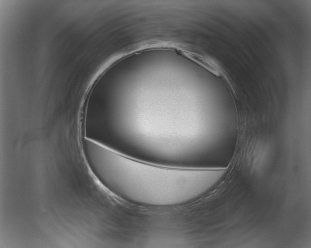 X0000081421151200701120938