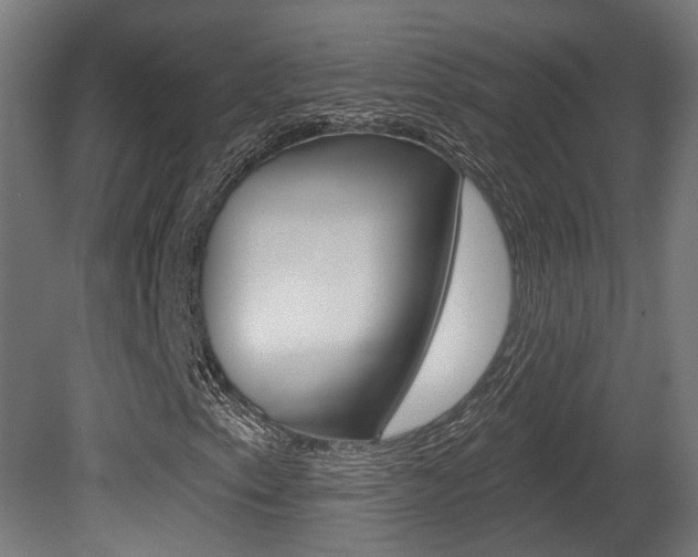 X0000081421153200701120937
